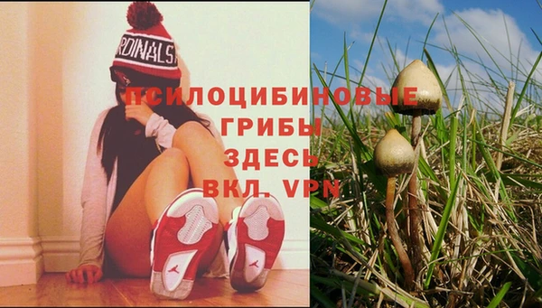 таблы Алексеевка