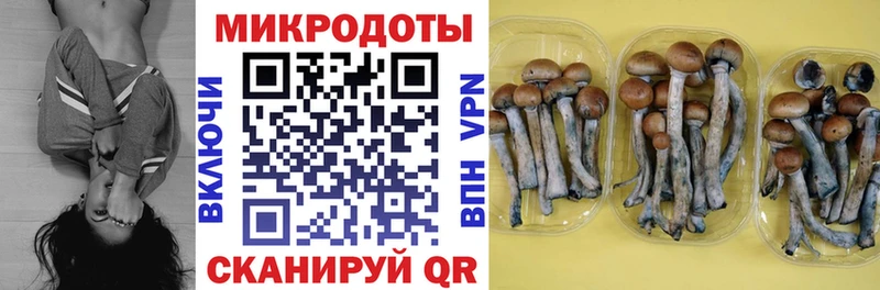 купить  цена  Миньяр  Галлюциногенные грибы мухоморы 